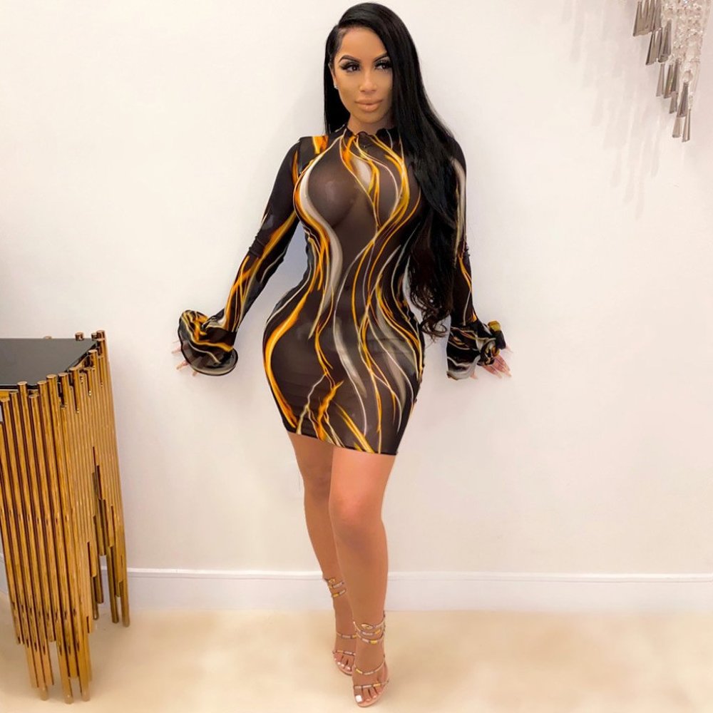 Sexy Print Flared Sleeves See Through Mesh Dress